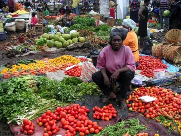 SECURITE ALIMENTAIRE ET NUTRITION